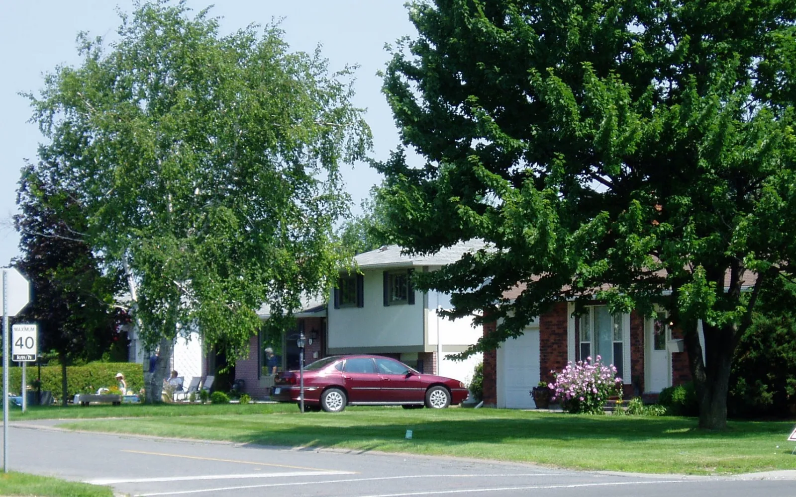 Tree-lined residential street with detached homes in Barrhaven, Ottawa