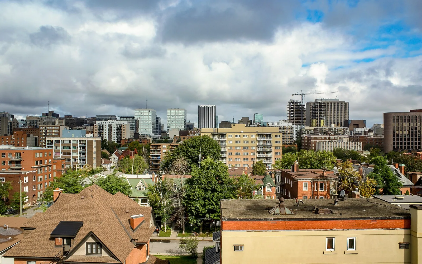 Centretown rooftops and apartment buildings beneath the Ottawa skyline