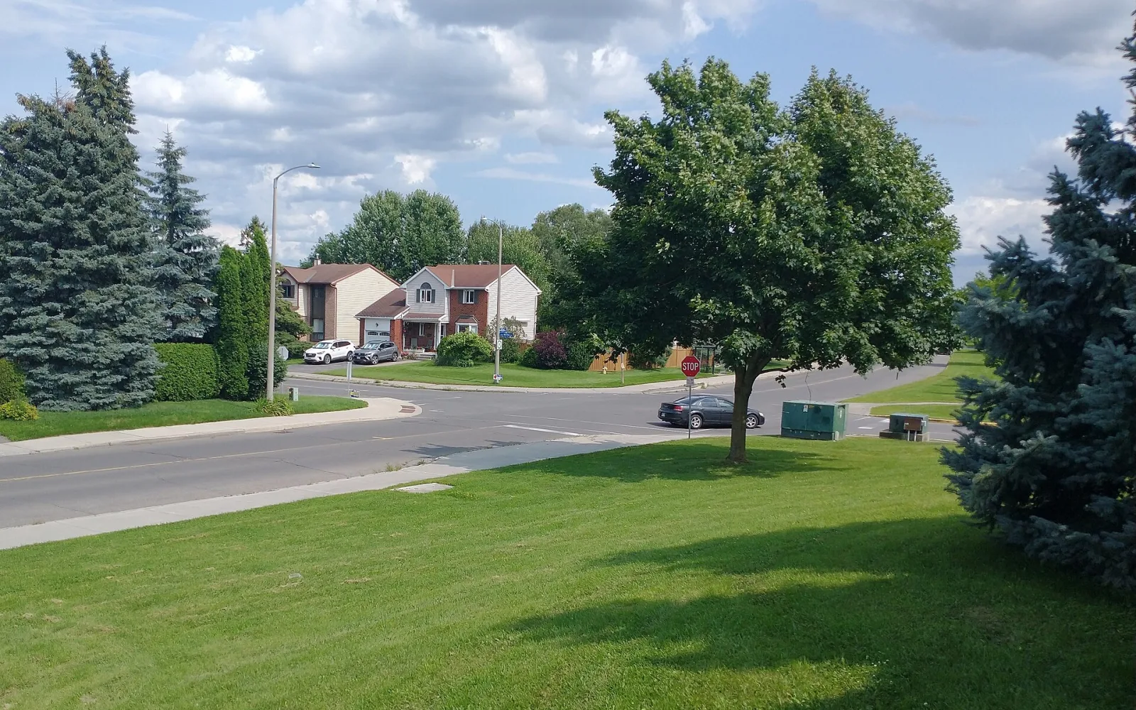 Homes and mature trees viewed from Ray Friel Park in Orléans, Ottawa