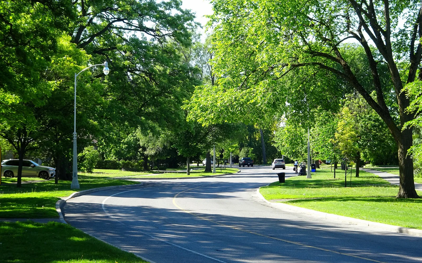 Leafy Island Park Drive streetscape near Westboro in Ottawa